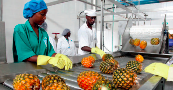 Le développement de l’industrie prendra appui principalement sur les quatre zones économiques spéciales existantes (Pointe-Noire, Brazzaville, Ollombo-Oyo et Ouesso)

#ChezMoiAuCongo 
#Team242
#DSN2021