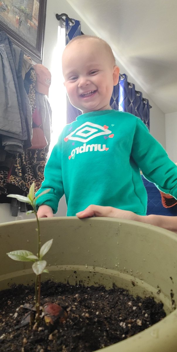 ashleyspeer7's tweet photo. This is one of my favorite pictures because right after this he ripped off the top leaves https://t.co/JsMOCDMdi7