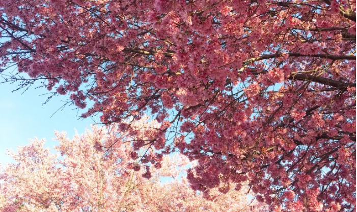 JustinFalb's tweet image. Since Spring feels like it's getting an early start...kelleynan.com/three-ways-to-…