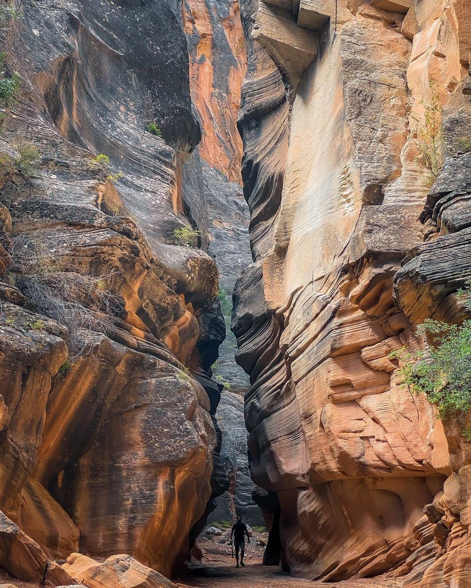 BCCountry's tweet photo. Utah’s Burr Trail is a 67-mile scenic drive between Boulder and Bullfrog into some of the state’s most beautiful and extraordinary country. You’ll see views of the Henry Mountains, the colorfully contorted Waterpocket Fold, Red Circle Cliffs, and Long Canyon.

📷  @ owenhaglund https://t.co/YQ6JKRrIpq