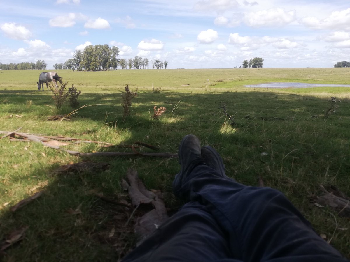 juanchutisss's tweet photo. POV: sos el Juan https://t.co/r4UkvB3NFB