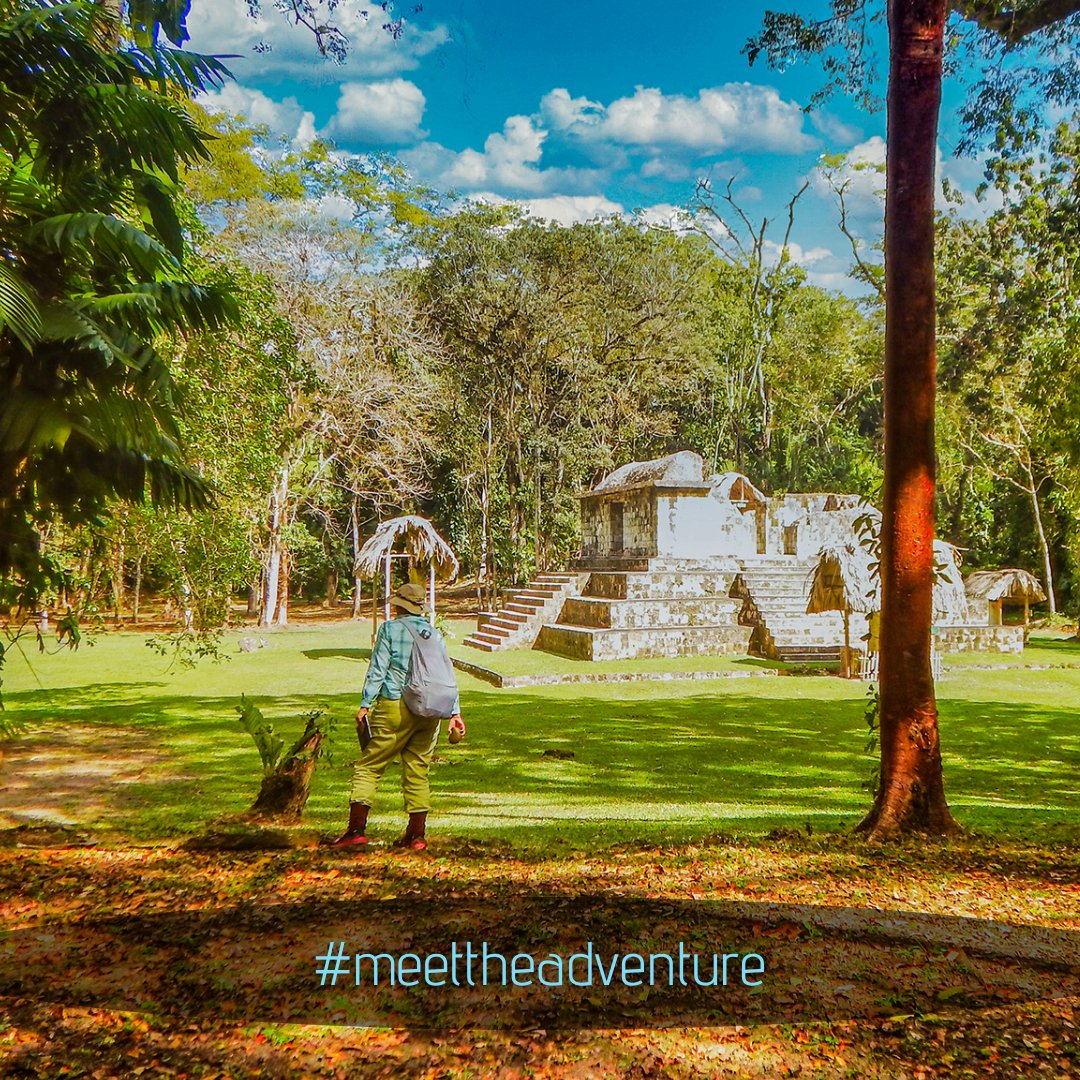 Guatemala_Tours's tweet photo. .
ExploreArt
Archaeological Expeditions

#martsamtravel #meettheadventure #tikaldaytrip #tikaldailytours #travel #adventure #Guatemala #styleyourtrip #traveling   #outdoors #travelblogger #vacation #vacations #familyvacation #summervacation #instavacation  #vacationmode https://t.co/vO83Z7N343