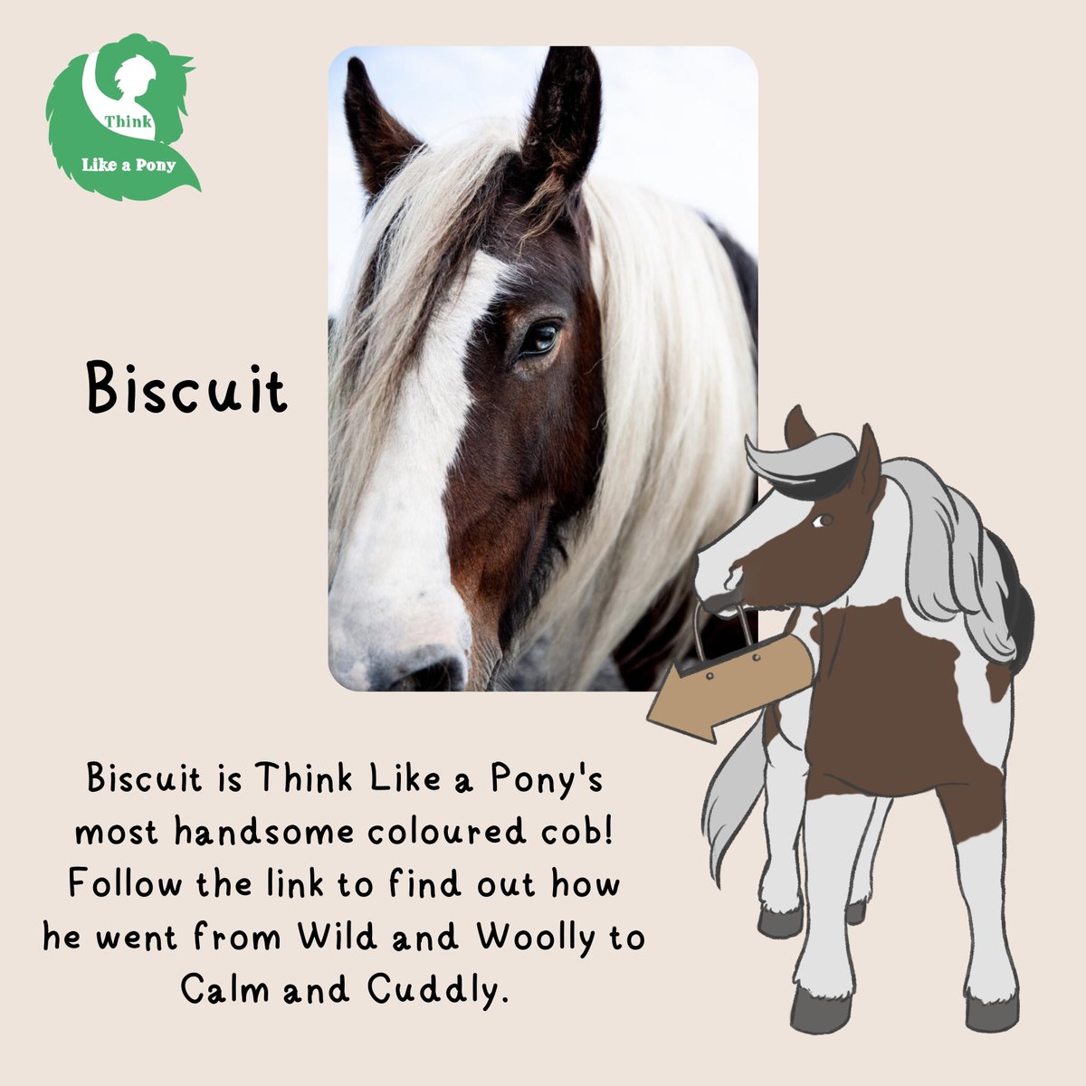 ThinkLikeaPony tweet media