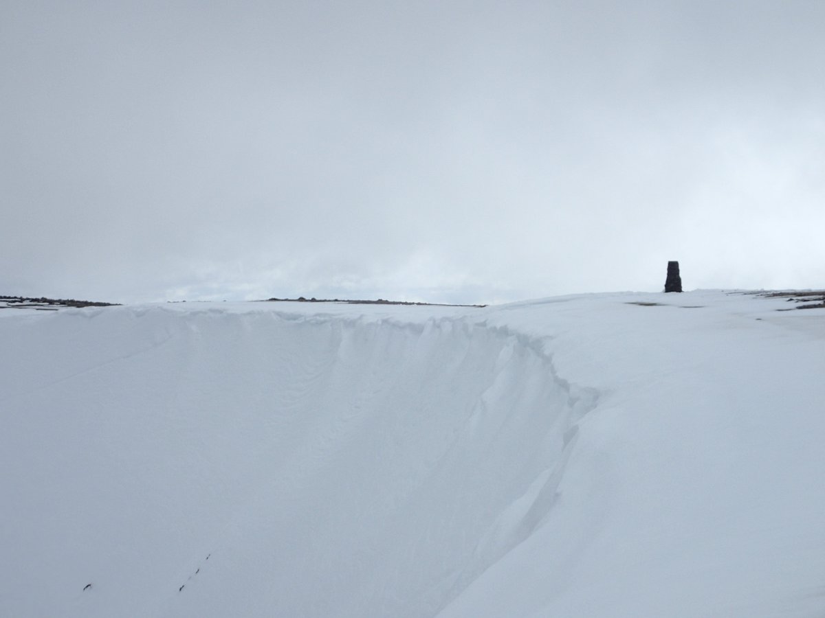Fell Top Assessors tweet media