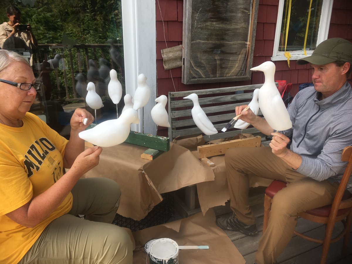 AudubonCamp's tweet photo. Ready to come to adult bird camp AND help bird conservation? We have just the session for you! Birds of Maine Islands: A Service Week will pair you with seabird researchers for a week of learning and discovery.  Learn more: https://t.co/fSMlgUGeX9  #BirdConservation #AudubonCamp https://t.co/zNUGUDnNHb