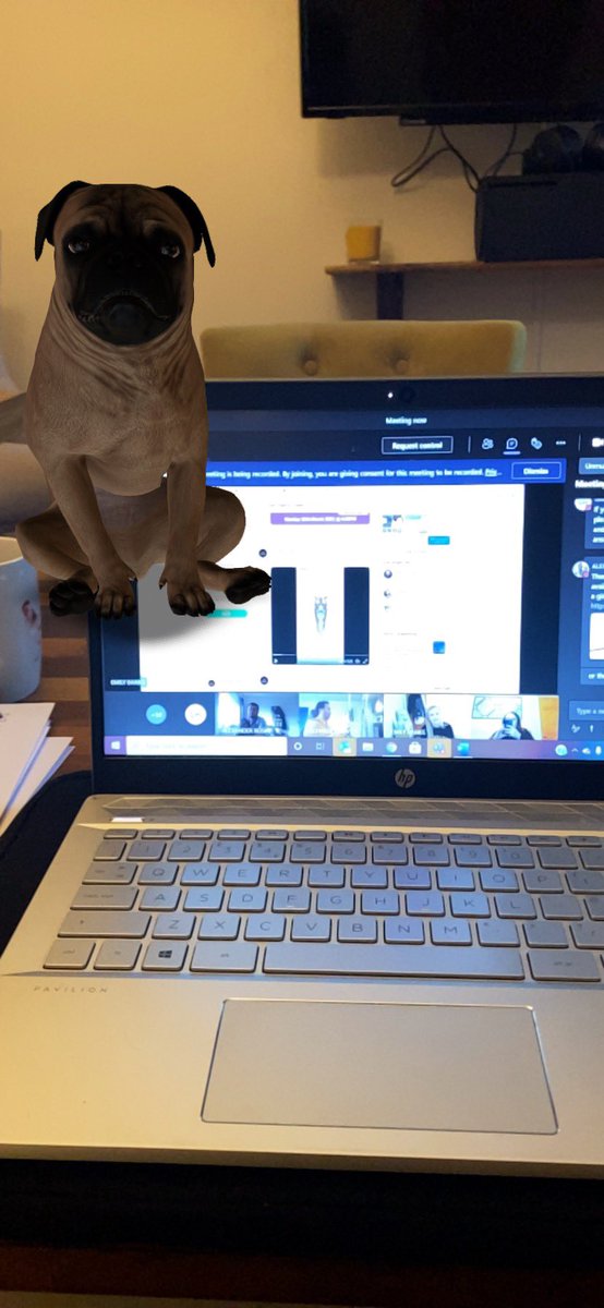 MissCWinder's tweet image. #techwizards #EHUTeachmeet