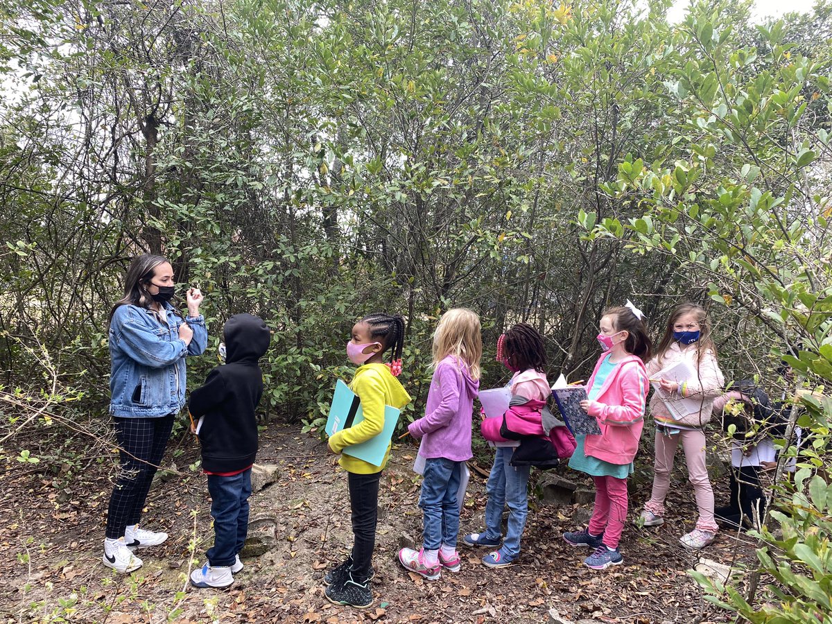 snyderssailors's tweet photo. Ms. Waite, our awesome USC intern is kicking off her Plants unit with a nature walk! We are so lucky to have such beautiful places to explore around our school! #ctelearning @EmmerGeo https://t.co/dlm26thsQo