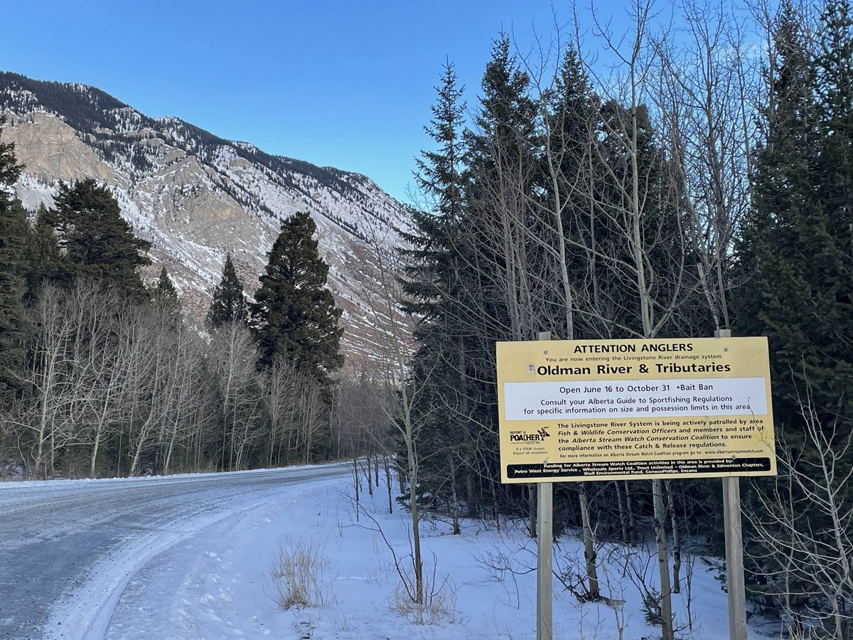 alberta_bha's tweet photo. The Oldman watershed and surrounding areas are still under threat from mining exploration and development, despite the recent announcements about the coal policy. Contact your MLA, using the link in our profile. #albertaflyfishing #albertacamping #albertahiking #flyfishalberta https://t.co/LUqf3IjAas