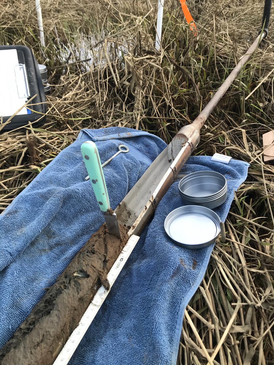 PNW Blue Carbon Working Group (@PNWBlueCarbon) / Posts / X