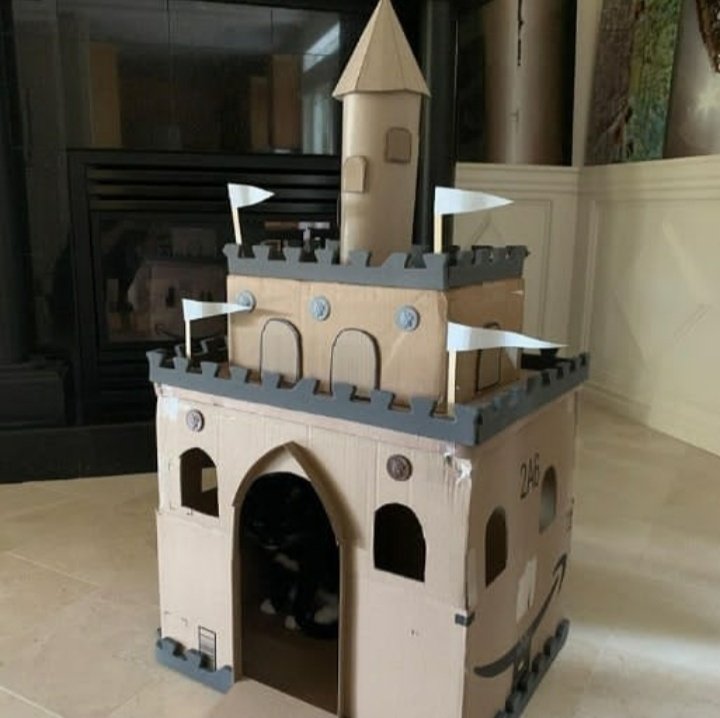 mkrana4580's tweet image. Created Cat Castle from Empty Amazon Boxes! 
I #PledgeToReuse ♻️
@amazonIN 
Tag
@NeelamA16728937 
@MeetuMyself 
@Meetkau51899881 
@im_ritika 
@selfieholic_