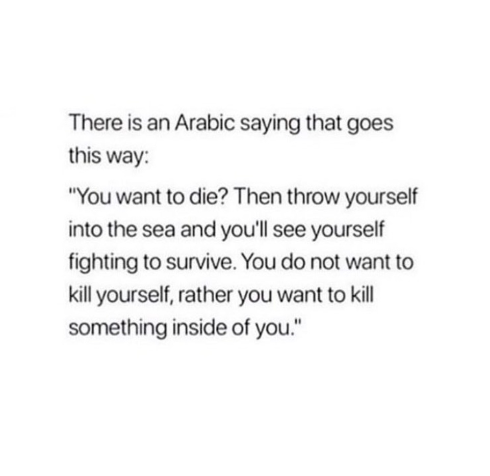 Ephemeral_Thots's tweet photo. To die or not to die .
#MondayBlues #mondaythoughts #ThoughtForTheDay #survival #thinkagain https://t.co/i53x6uaw9m