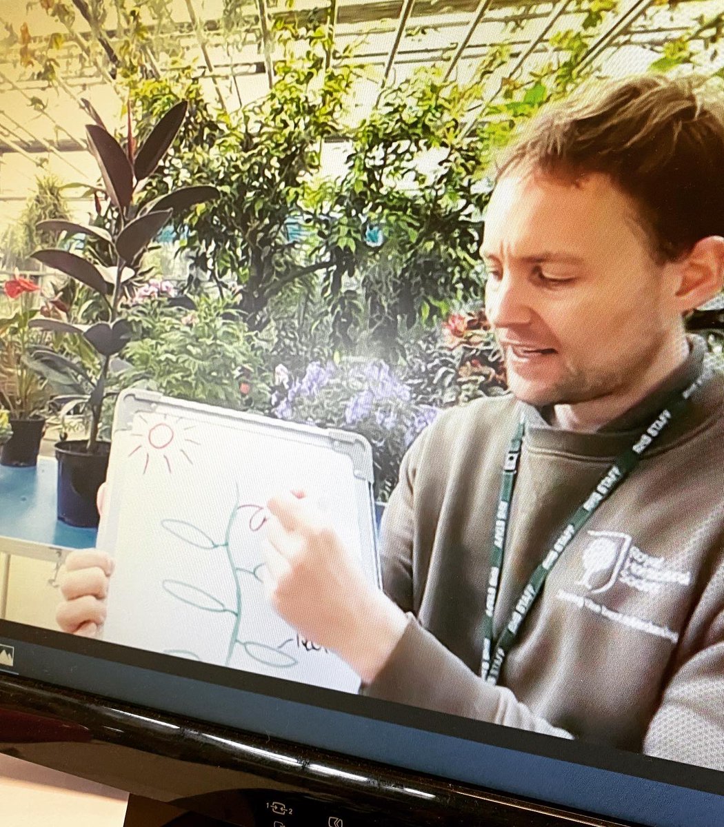 WSInfants's tweet image. We had a great zoom work shop with Jon and Barney from @RHSWisley this afternoon. Thank you for all the great learning with Year 1. #learningremotely #science #keystage1 #howplantsgrow @EcoSchools
