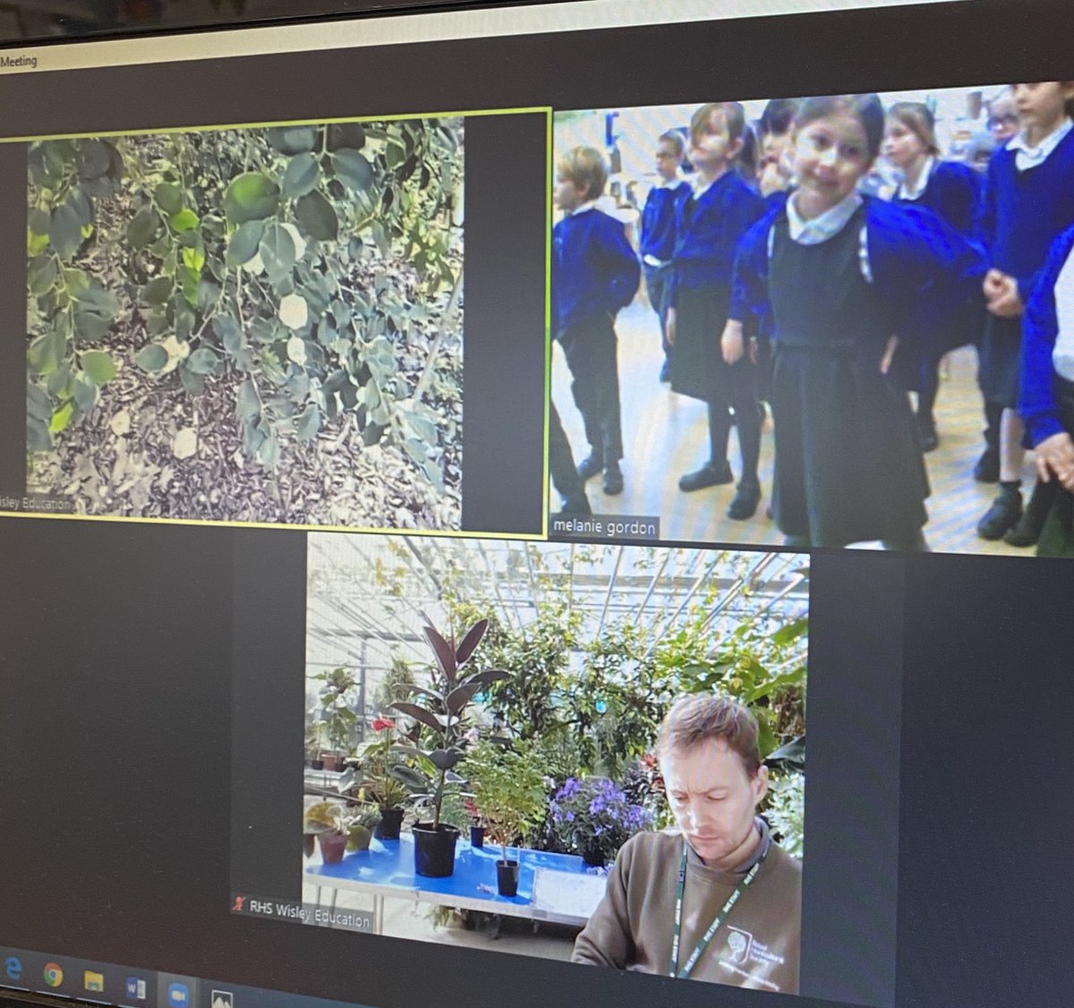 WSInfants's tweet image. We had a great zoom work shop with Jon and Barney from @RHSWisley this afternoon. Thank you for all the great learning with Year 1. #learningremotely #science #keystage1 #howplantsgrow @EcoSchools