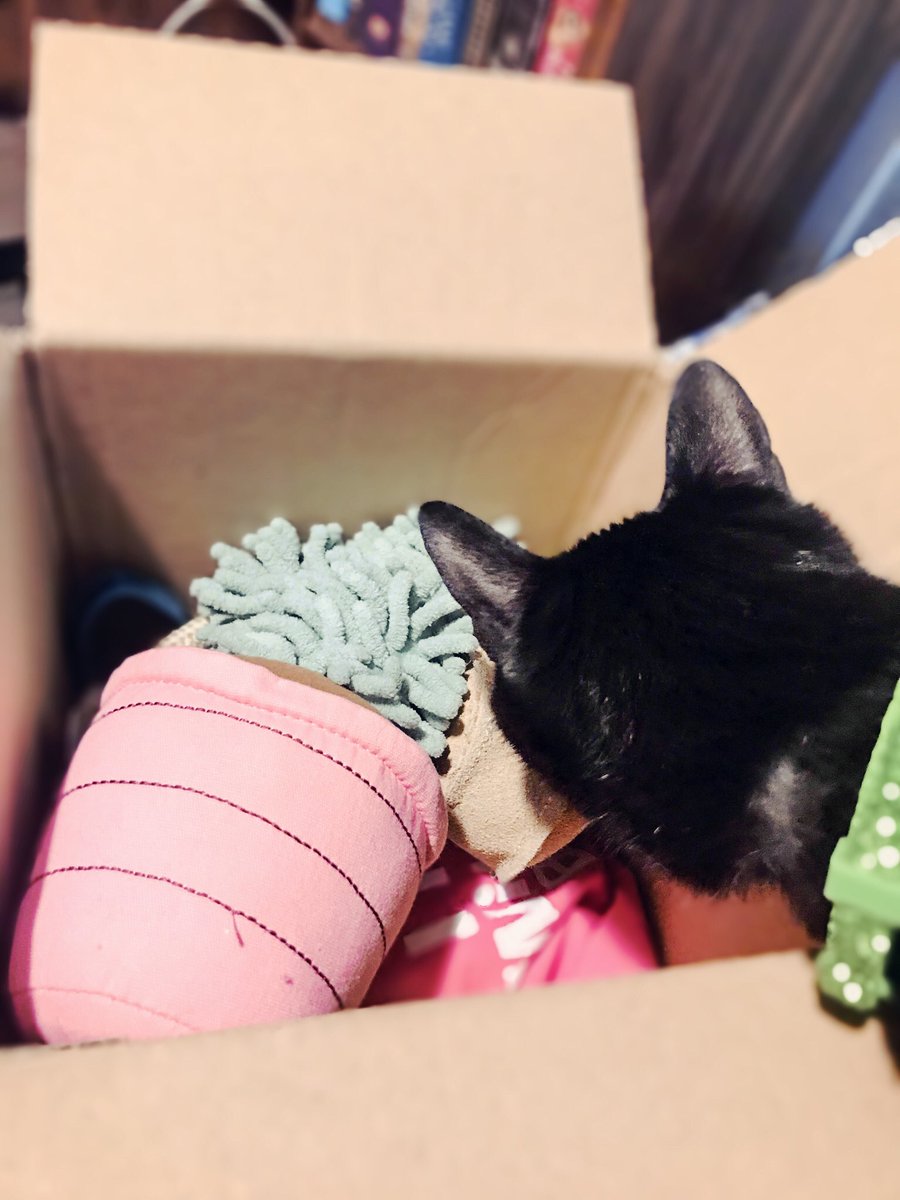 BYoungWeb | FAN ACCOUNT tweet media