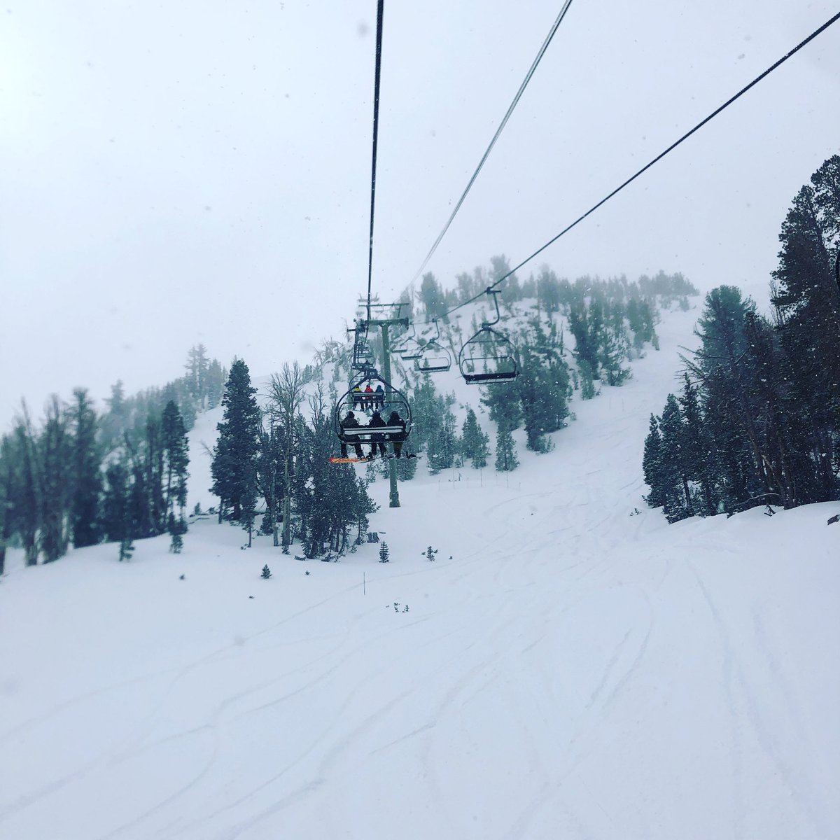 June Mountain tweet media