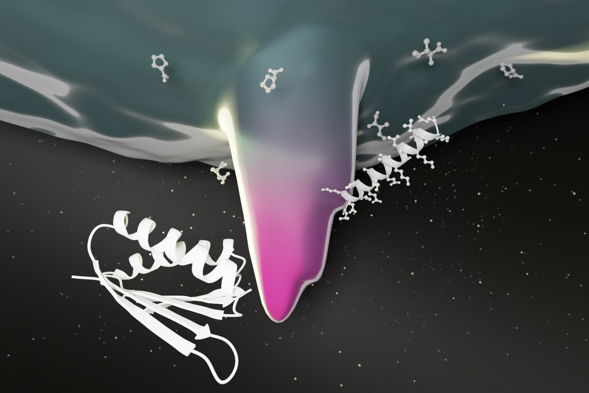 A #deeplearning approach to protein design: When combined with detailed physical models, AI can capture properties normally only accessible through large-scale simulations. 

Protein sequence design by conformational landscape optimization pnas.org/content/118/11… | <a href="/PNASNews/">PNASNews</a>