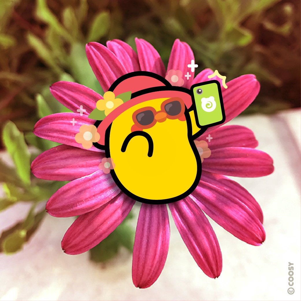 anirollz's tweet photo. ✨🌸🌺 Make sure to catch some Vitamin D
......and some selfiez if you're like Chickiroll.
--
#anirollz #coosyusa #letzroll #characterz #chickiroll https://t.co/gFsJGgpKvL