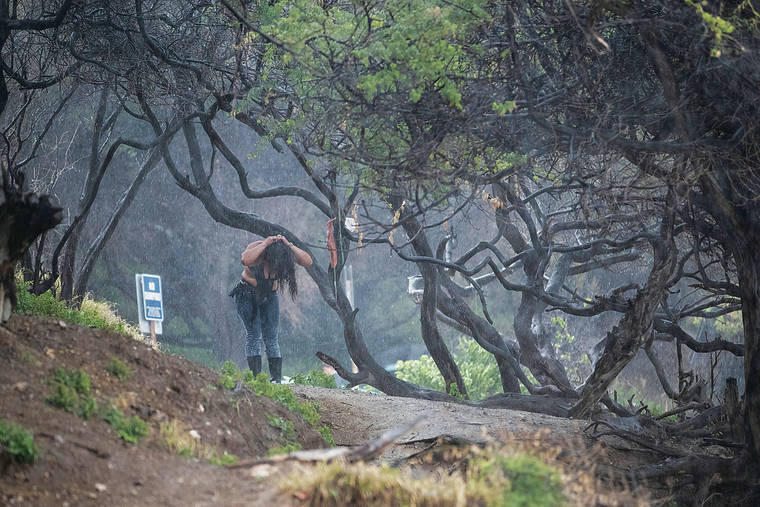 Illegal campsites creating problems at Diamond Head Beach Park