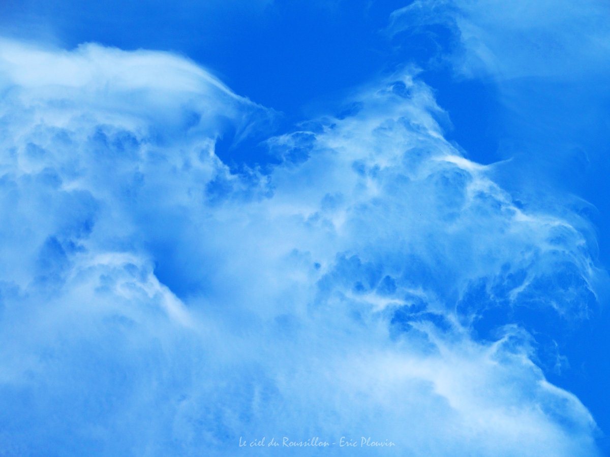 CielRoussillon's tweet photo. #Cirrocumulus #lacunosus dans les #PyrénéesOrientales
Le 15/03/2021 #LecielduRoussillon #France :) :p
@MeteoLanguedoc @Meteo_Pyrenees @Meteovilles @ExtremeMeteo @KeraunosObs @ThePhotoHour @severeweatherEU @StormchaserUKEU https://t.co/2jDdjRXcYC