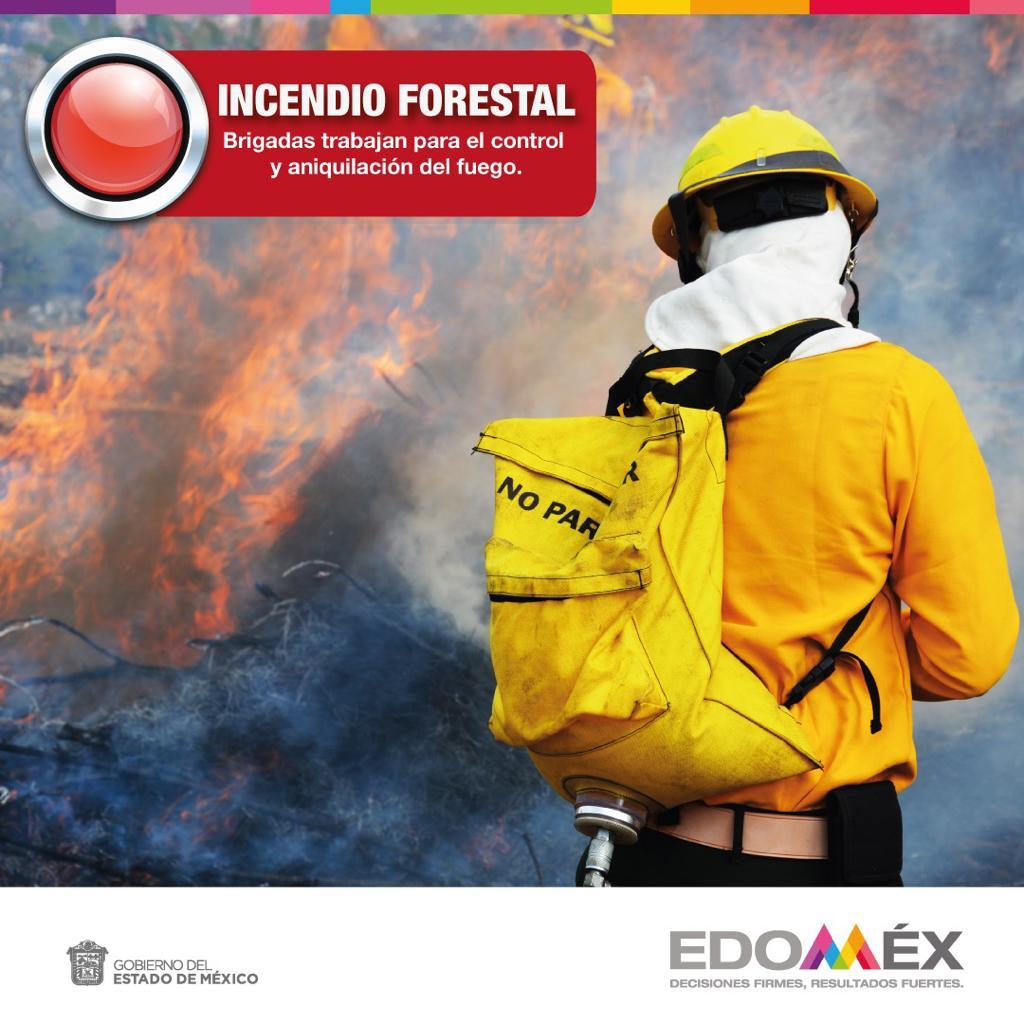 AmbienteEdomex's tweet photo. #ÚltimaHora: Se reporta incendio en el #ParqueEstatal Sierra de Guadalupe, paraje La Loma , municipio de #Tultitlán. Acuden brigadas de la Coordinación General de Conservación Ecológica de la #SMA, @Probosque_ y voluntarios. https://t.co/N6KwKOqlRs