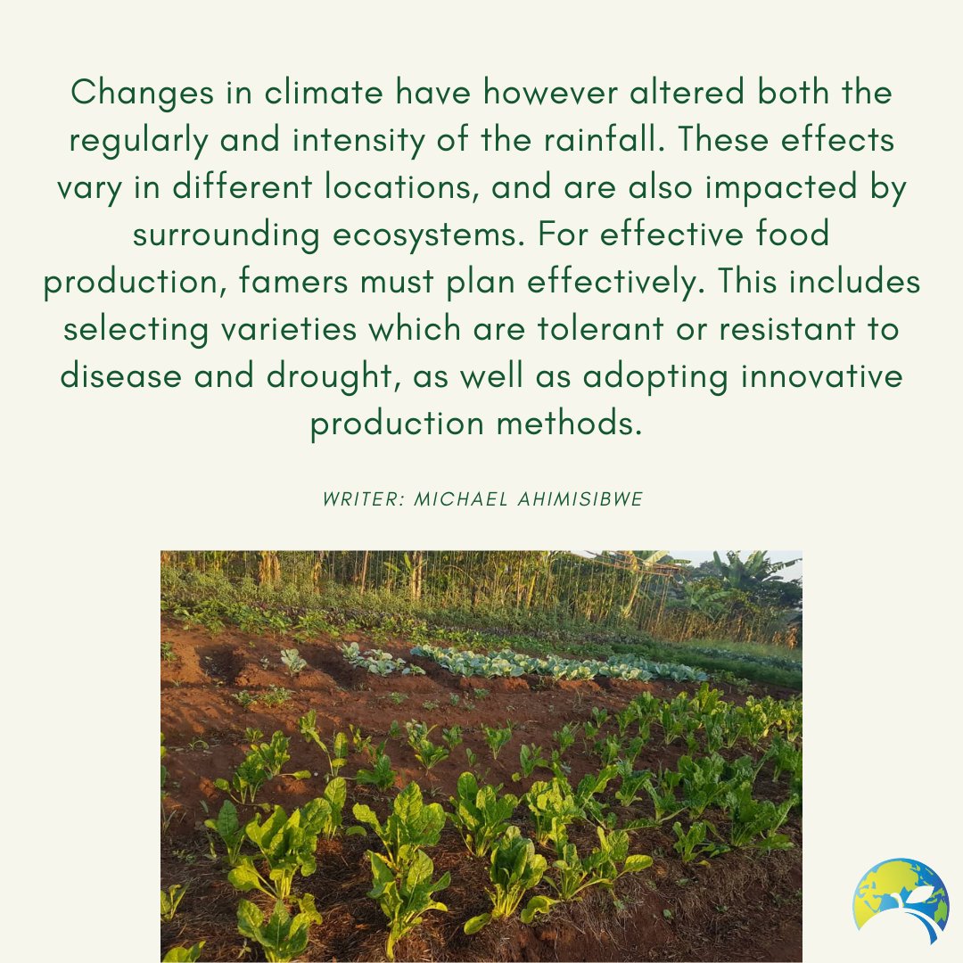 Real Food Systems (@realfoodsystems) on Twitter photo Youth Ambassador <a href="/ahimbisibwem1/">Michael Ahimbisibwe</a> gives key insight into the key factors of seasonal produce in Uganda!
#seasonal #foodsystems #climateaction #uganda
📷 <a href="/ahimbisibwem1/">Michael Ahimbisibwe</a> Youth Ambassador <a href="/ahimbisibwem1/">Michael Ahimbisibwe</a> gives key insight into the key factors of seasonal produce in Uganda!
#seasonal #foodsystems #climateaction #uganda
📷 <a href="/ahimbisibwem1/">Michael Ahimbisibwe</a>