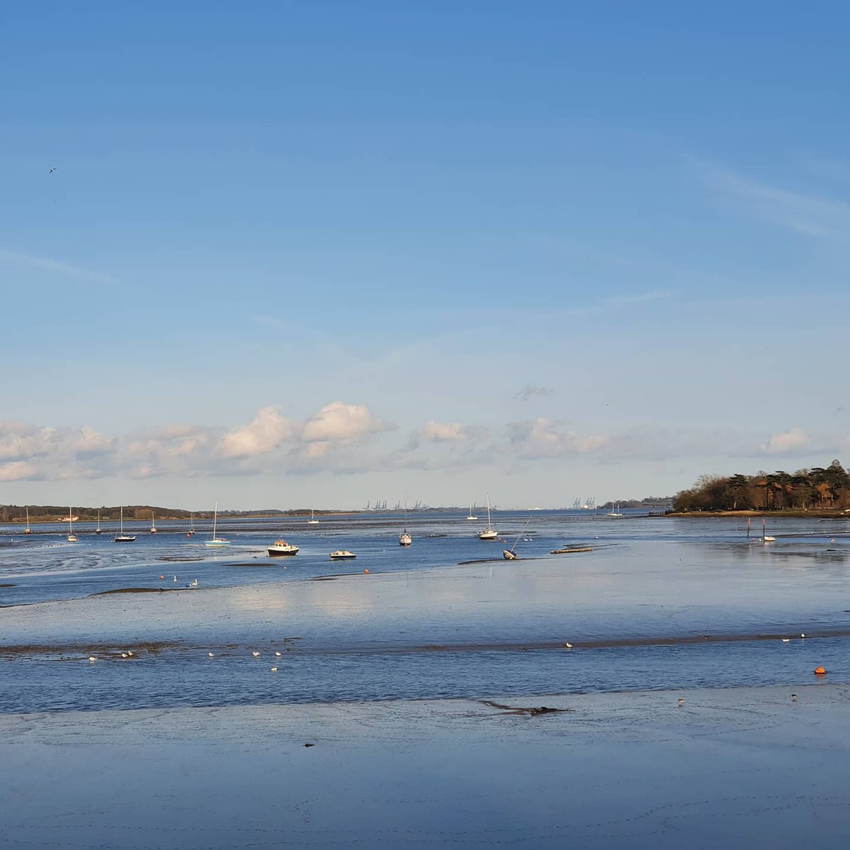 Just been to post some orders and couldn't resist taking in one of my favourite views of the River Stour 💙

etsy.com/uk/shop/StourV…

#springiscoming #spring #riverstour #UkCraftersHour #HandmadeHour #etsy #etsyshop #smallbusiness #facemasks #crafting #ilovesewing
#manningtree