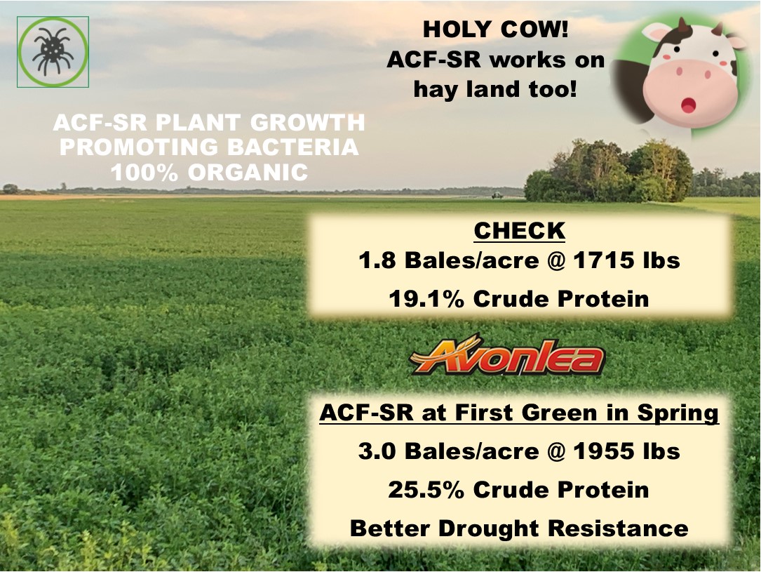 Boost yields and improve feed value. Reduce long term fertilizer use. Call/Text Rick at 204-941-0896 for more information