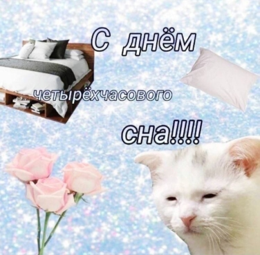 so_mad_so_funny's tweet photo. https://t.co/IEuVQMNUVF