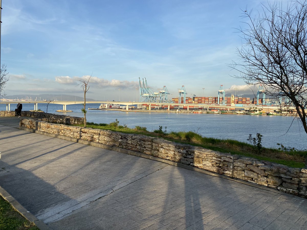 IvánEstudillo🪳 tweet media