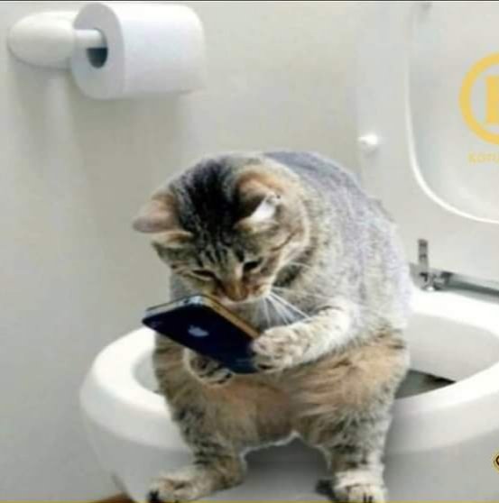 Beni gitmekle tehdit edemezsin
Ben bile kendimden vaz geçmişken
Yılandan korkmam yalandan korktuğum kadar