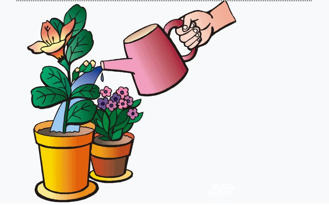 DaHealingOracle's tweet image. 