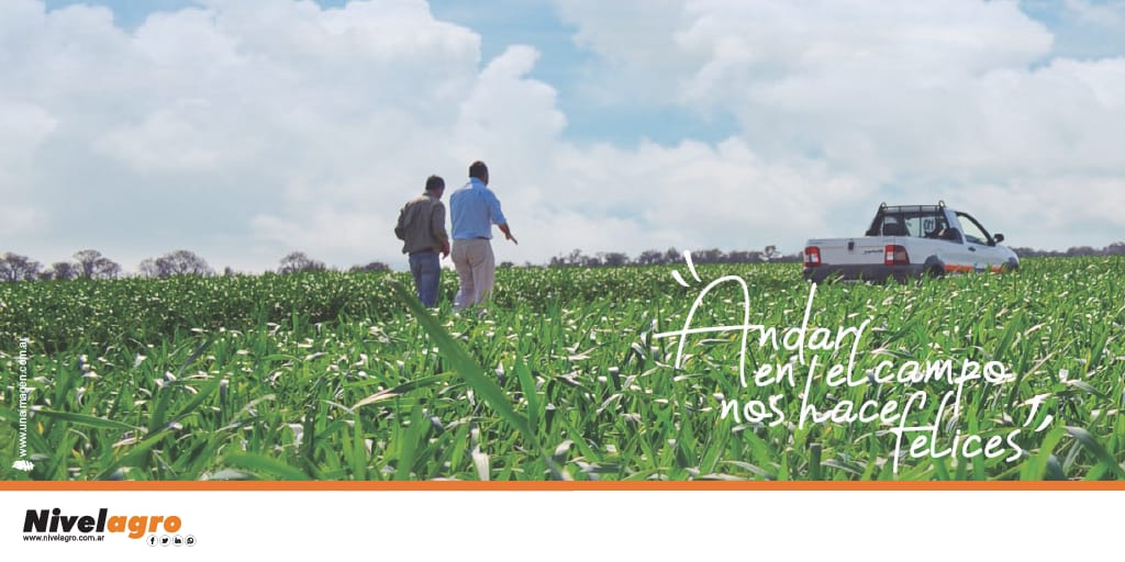 guchima12's tweet photo. Acompañado siempre al productor @nivelagro.
#nivelagro #bpa https://t.co/7UdaR44oQd