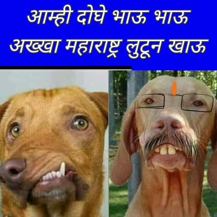 rambhaktprem's tweet photo. https://t.co/M5QtHBxTEj
