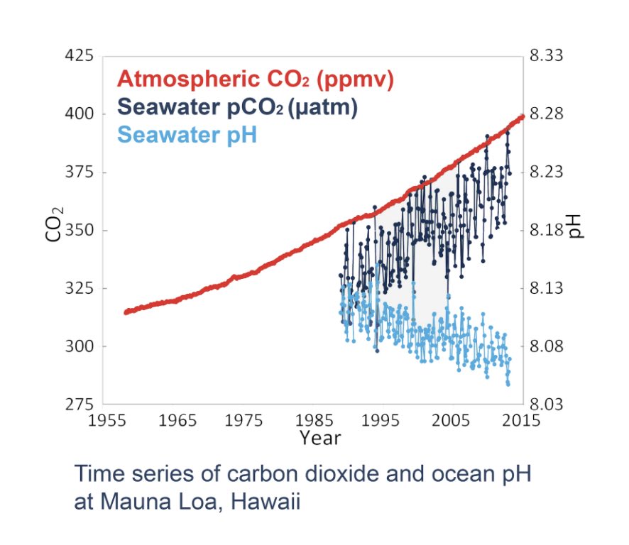 ms_jess_aye's tweet photo. This season at @circulos_sausd our STEM 10 &amp; 11 students are exploring and investigating ocean acidification. What do the graphs tell you? https://t.co/h8cvhdxNEu