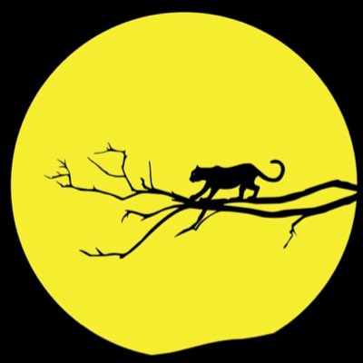 YaarDreamer's tweet photo. #NewProfilePic https://t.co/wyr2PgeXhV