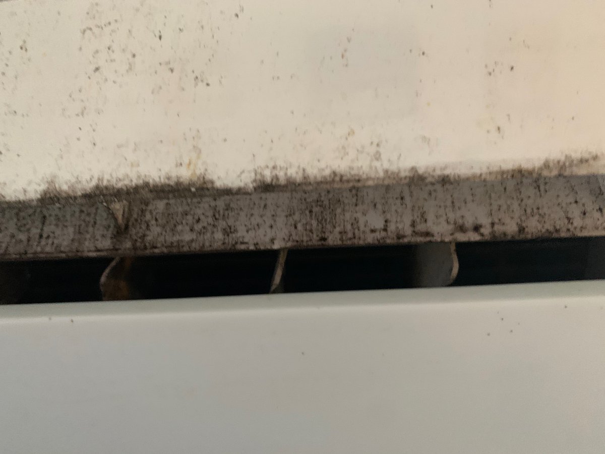 OTinDC's tweet photo. @bchesky  I need help!!  I’m in a terrible Airbnb listing and am not getting help, just being shuffled from person to person.  I finally contacted code enforcement and this house is not in compliance with local laws.  I don’t feel safe!  Help me please! https://t.co/SceDrnHIrS