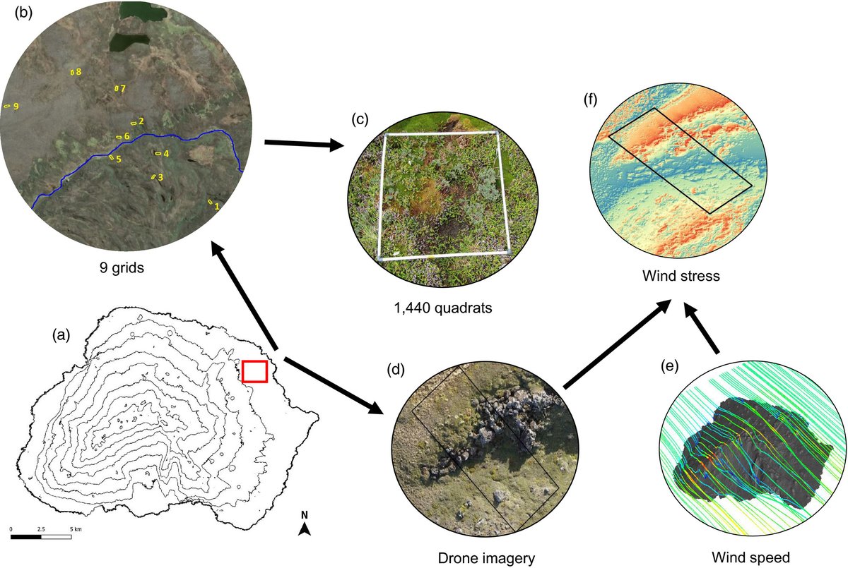 Journal of Ecology tweet media