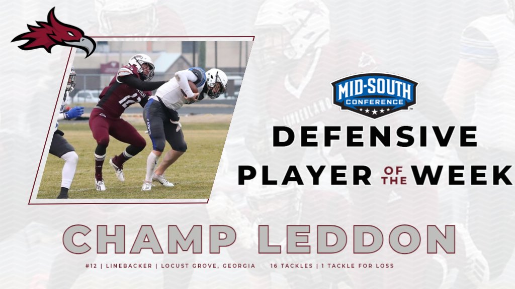 Cumberland Phoenix tweet media