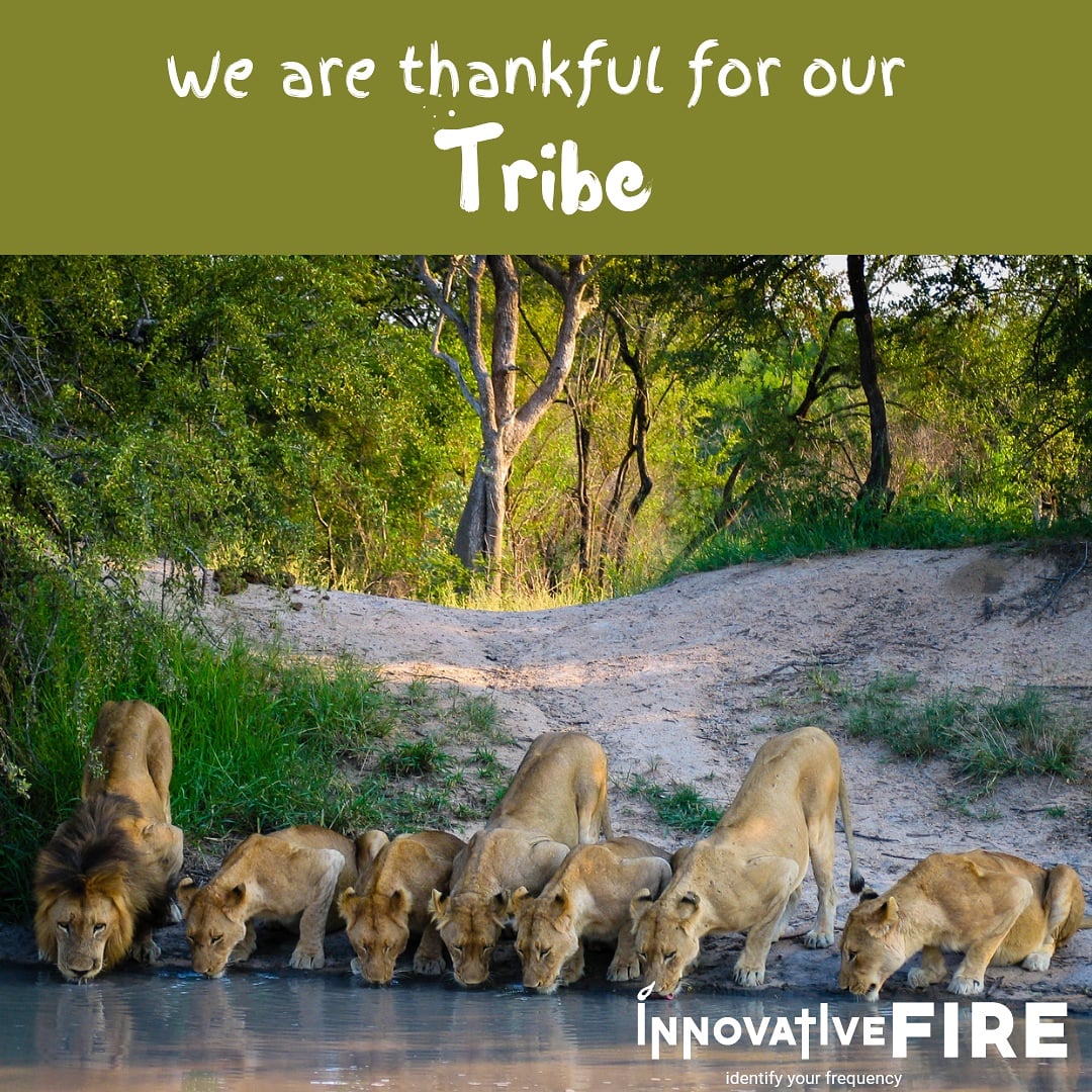 InnovativeFire_'s tweet photo. We are thankful for all those who support, encourage, pray, correct, love, collab, bless, look out for, pour, uplift, reach out, and whatever it is that you do for us! When one drinks, we all drink! Thanks again!
#InnovativeFire #if #tribe #support #artistsupport #fam #lions https://t.co/bv9OH8ZH8m