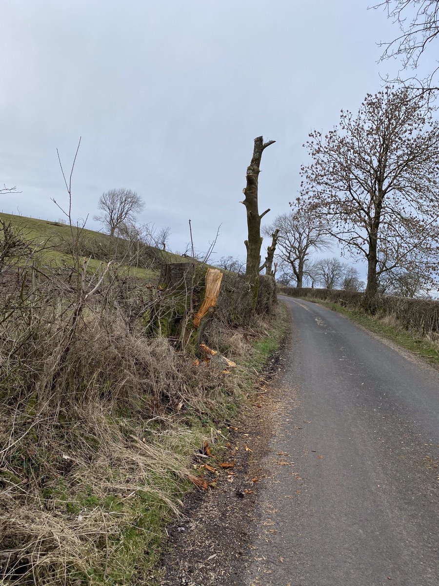 Ben Shaw tweet media