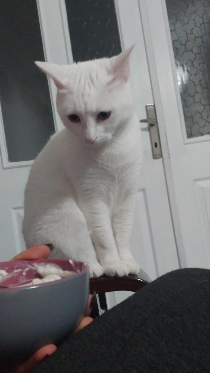 Annim bana yedivinden vermio malsf ki..