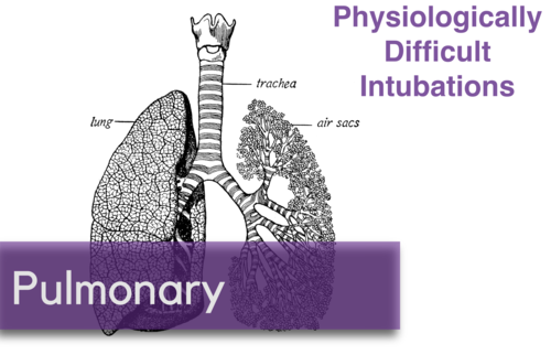 EMinMiami's tweet photo. Great post for #PostShiftTeaching about Physiologically Difficult Intubations by @NorthwesternEM.

Read more here 👇

https://t.co/FFbZ7itv6A

#FOAMed #MedEd #airway #criticalcare #emergencymedicine #anesthesia https://t.co/P7fvUtvAcl