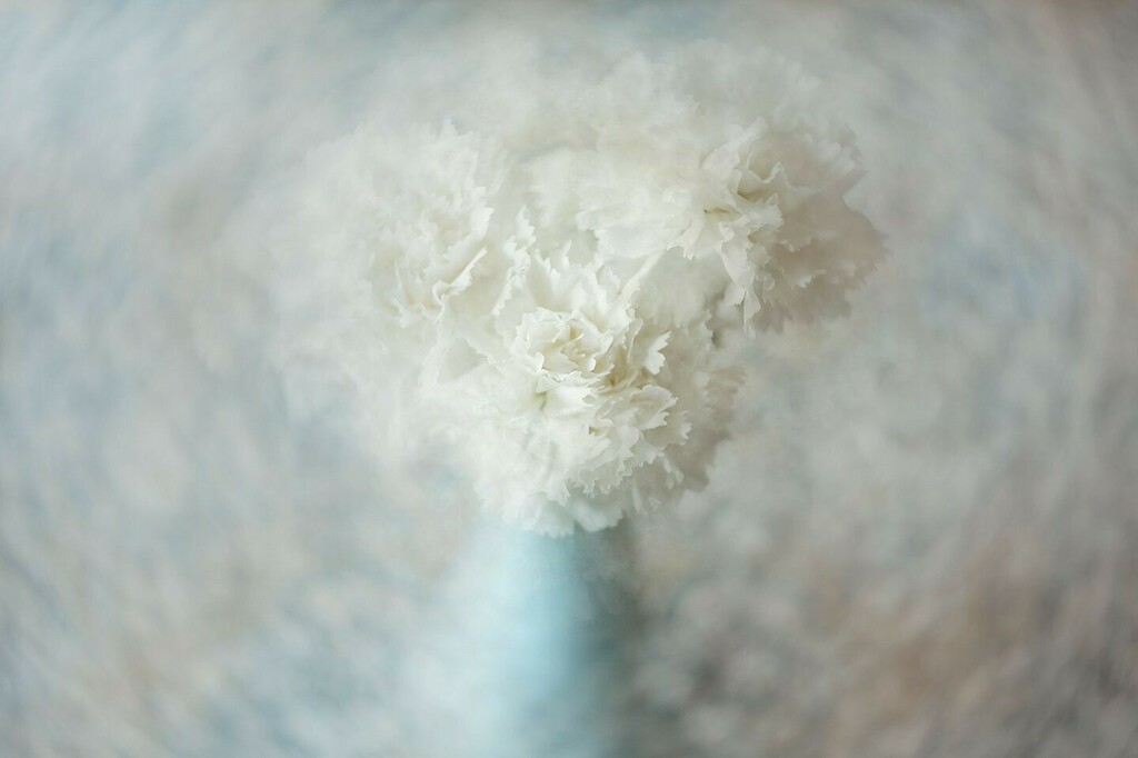 CeriHerdPhoto's tweet photo. “Do ordinary things with extraordinary love.” ~ Mother Teresa⁠
.⁠
We are a group of photographers celebrating seeing in a new way through our use of LENSBABY products. We have come together to share the images in our #clickprolensbabyloop to inspire … https://t.co/iurq7QPXC2 https://t.co/ZCZbpONi6a