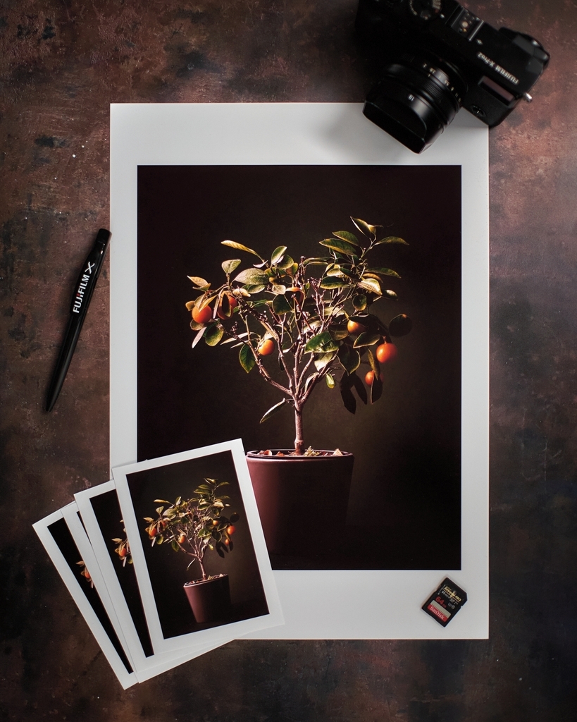 KimFarrelly's tweet photo. Print done, super happy with the colour and texture of this one.
.
.
.
#Fujifilm #XPRO2 #XF18mm #Print #Permajet #CaptureOnePro #fujifeed #fujixphotographers #fujifilm_uk #fujifilm_global #fujifilm_xseries #Fujifilmeu #fujifilmireland #myfujilove #fujifi… https://t.co/EgkzICMzZF https://t.co/kaSawffOUA
