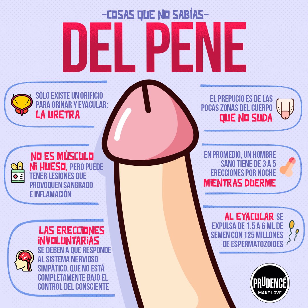 PrudenceMexico's tweet photo. En el #DíaDelPene asume tu responsabilidad, sé parte de la #GeneraciónPrudence, protégete y protege a los demás. Te dejo algunos datos sobre este órgano que te prometo, serán interesantes. https://t.co/kPnVZxjbNq