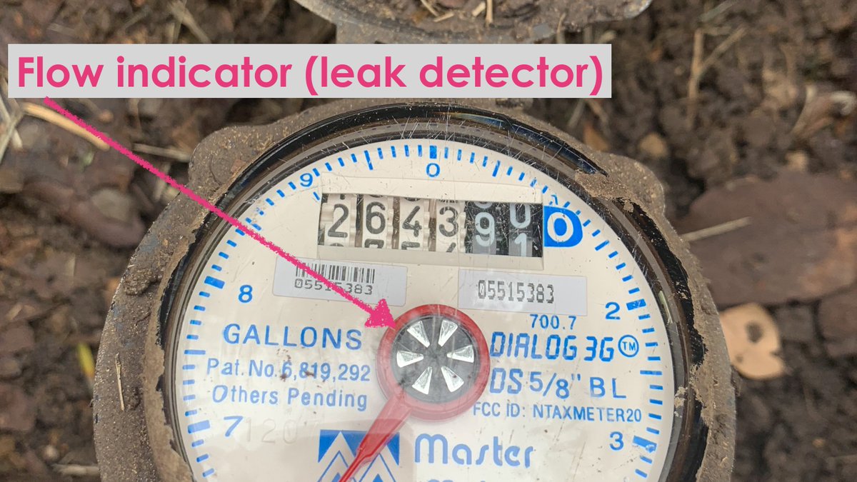 Welcome students in Mansfield, TX and Glendale, WI! Some of the latest 🏃🏽‍♀️'ing from Zoom fatigue! Authentic inquiry related to human impacts = using meters + utility portals to find and fix leaks. Free activity download...Eng/Span versions   meterhero.com/leaks  #FixALeakWeek