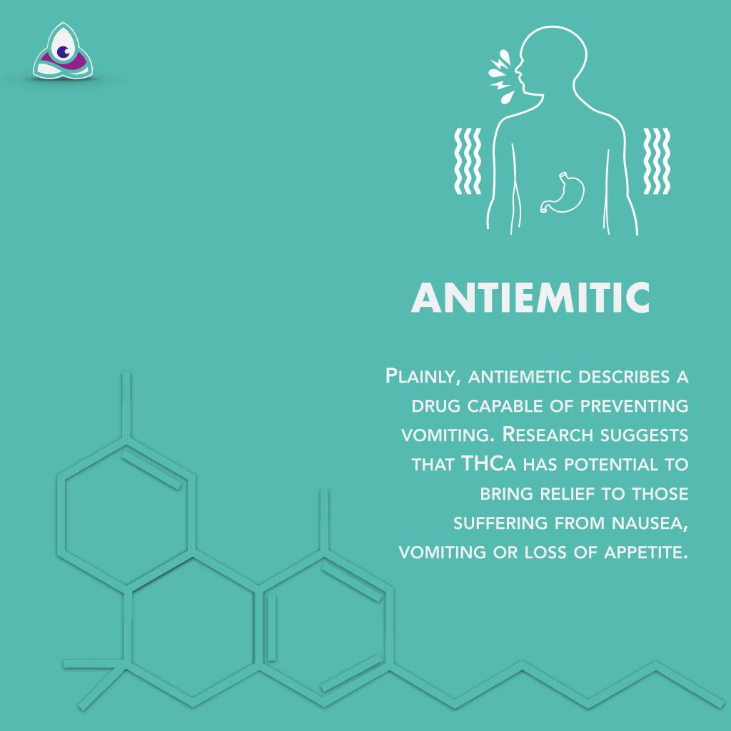 level_pure's tweet photo. TCHa is one of the most fascinating cannabinoids being used and researched today. Learn more about the innovative research into the effects and benefits of THCa. #CannabisCanada #StayPositive #Protonify https://t.co/T97IIQqUsk