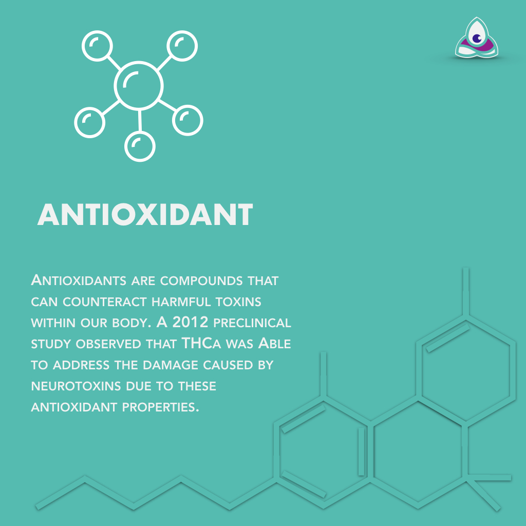 level_pure's tweet photo. TCHa is one of the most fascinating cannabinoids being used and researched today. Learn more about the innovative research into the effects and benefits of THCa. #CannabisCanada #StayPositive #Protonify https://t.co/T97IIQqUsk
