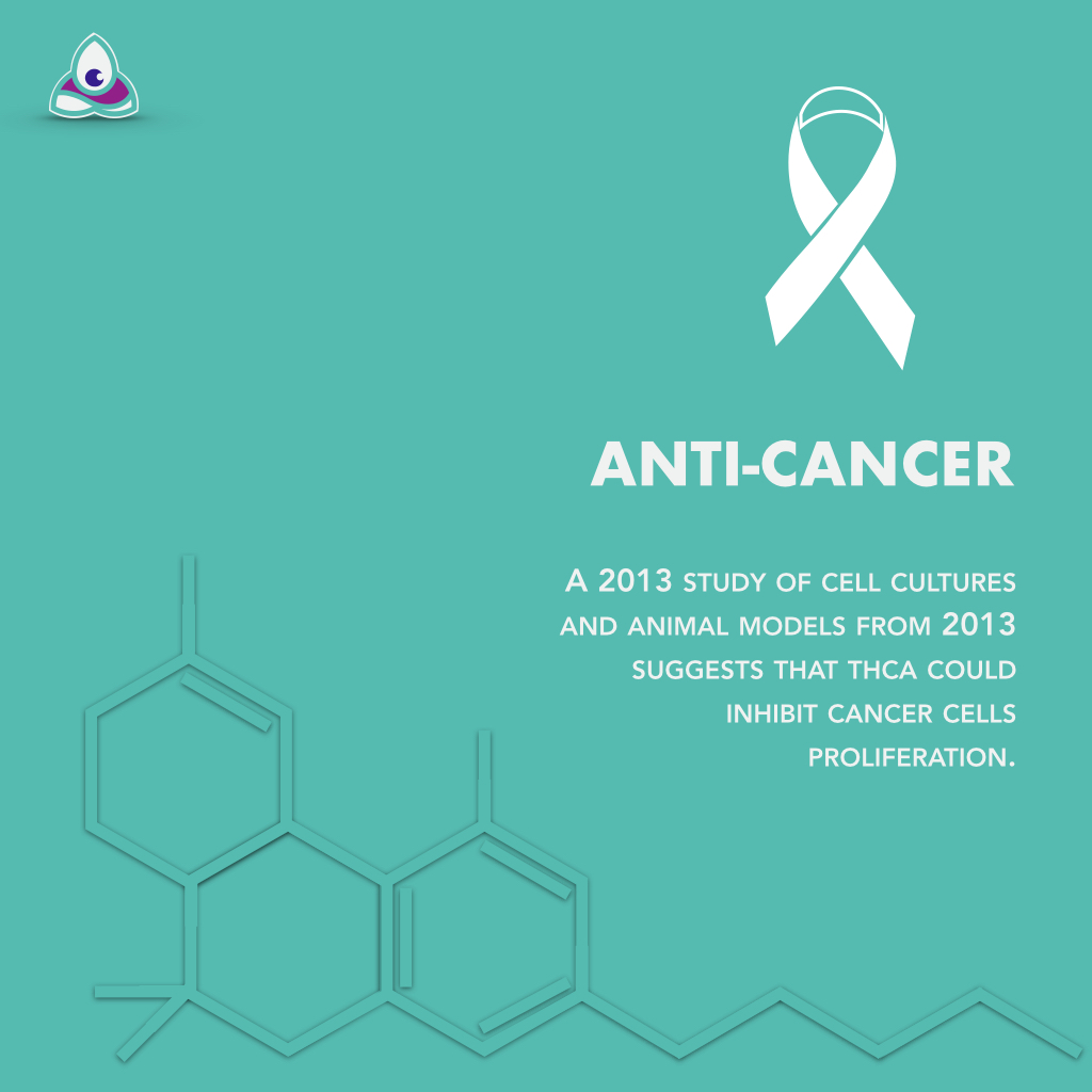 level_pure's tweet photo. TCHa is one of the most fascinating cannabinoids being used and researched today. Learn more about the innovative research into the effects and benefits of THCa. #CannabisCanada #StayPositive #Protonify https://t.co/T97IIQqUsk