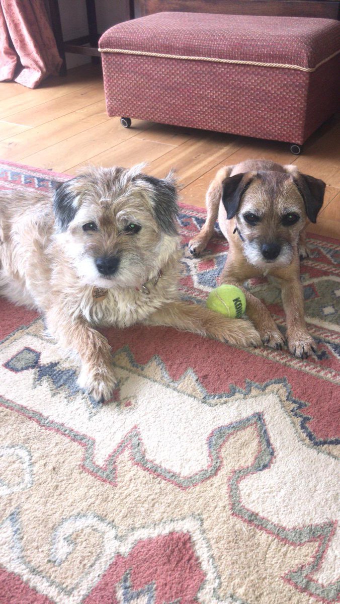 Clare Hughes tweet media